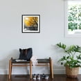 thumbnail image 4 of Art.com Park Pretty II Photographic Print by Assaf Frank, Black Frame Wall Art, 21" x 21", 4 of 4