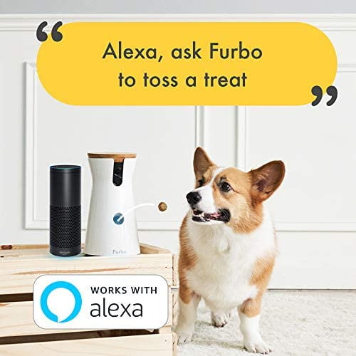 Ellen furbo cheap