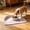 Purple, variant on LiUMX Rectangular Silicone Pet Feeding Mat for Cats and Dogs, Non-Slip Waterproof Placemat with Spill-Proof Raised Edges, Easy-Clean Dishwashable Pet Bowl Tray