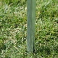 thumbnail image 5 of Park and Sun Classic Tetherball Set - Americana, 5 of 9