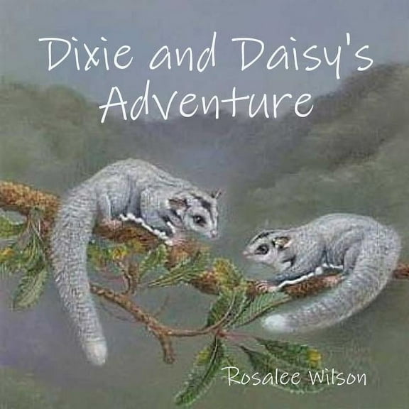 Dixie and Daisy's Adventure, (Paperback)