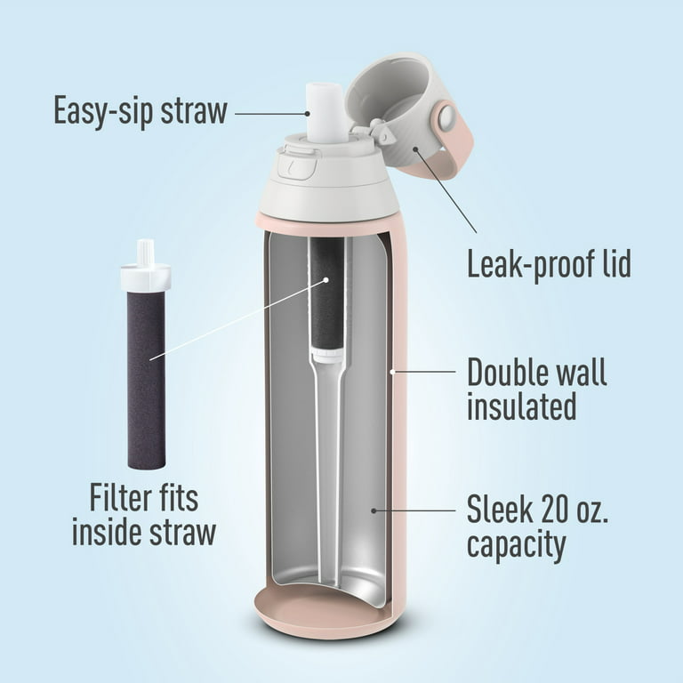 Insulated Filtered Water Bottle with Straw, Reusable, Stainless Steel  Metal, Rose, 20 Ounce - Drinkware