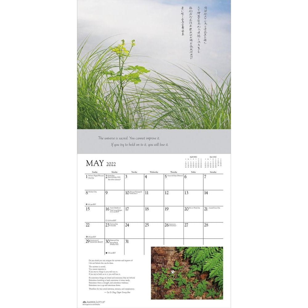 Tao 2022 Wall Calendar: Selections From The Tao Te Ching And Chuang Tsu: Inner Chapters (Other) - Walmart.com