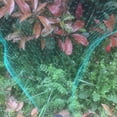 thumbnail image 4 of fastboy Anti-bird Net Garden Fruit Farm Anti Bird Mesh Net Orchard PE Netting Plants Protection, 4x5m, 4 of 7