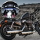 thumbnail image 2 of 1 Juego Universal 22mm Aluminio Aleación Azul Motocicleta Equilibrio Barra, 2 of 7