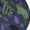 2 Black-1, variant on Women Crew Soft Moisture-wicking Socks Magic Toads in Hats Pattern Design Cotton Socks, One Size fit All