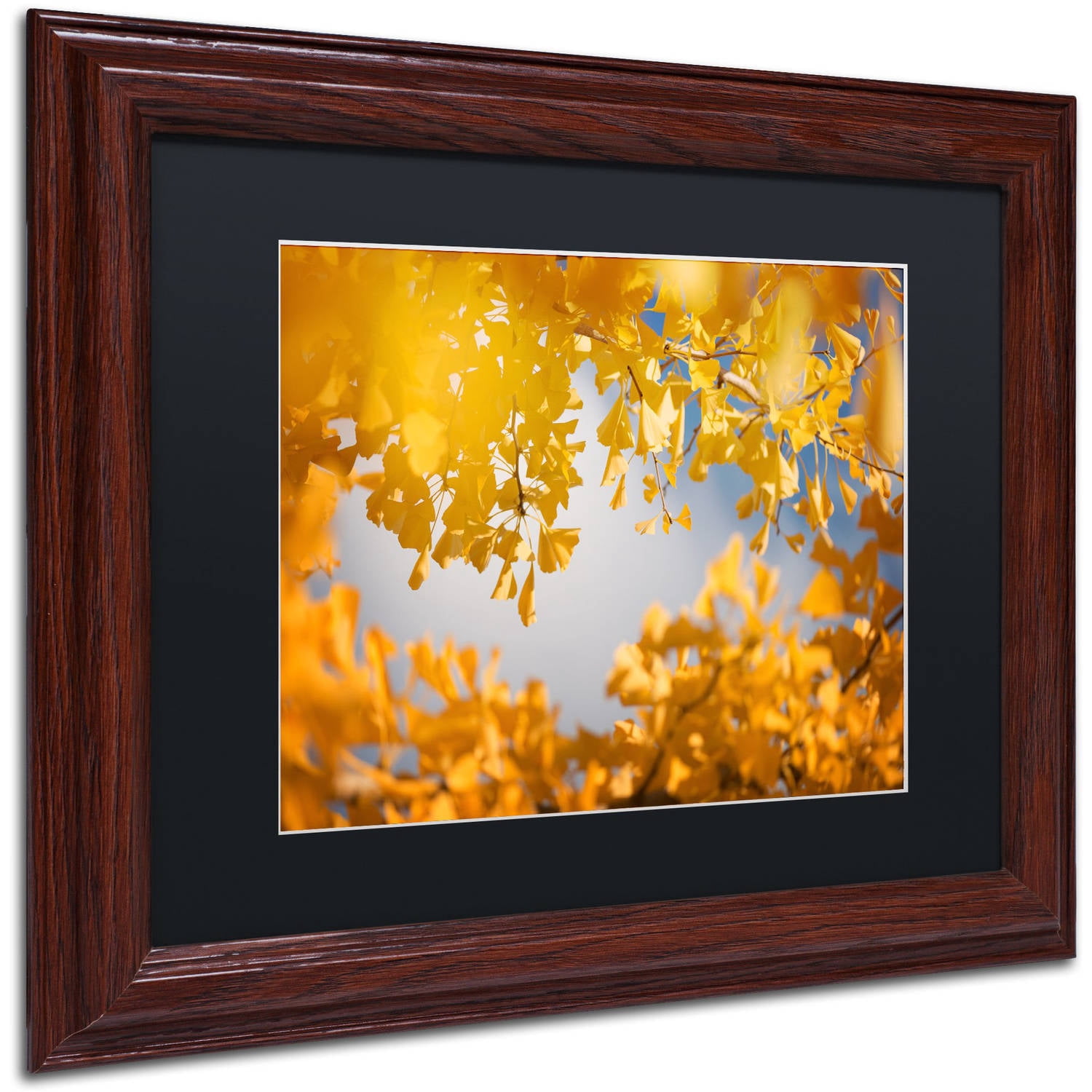 Trademark Fine Art "Ginkgophytes" Canvas Art by Philippe Sainte-Laudy Black Matte, Wood Frame