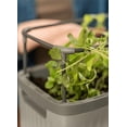 thumbnail image 6 of Vego Garden Mini Planter Box with Trellis Self-Watering Raised Garden Bed for Climbing Vegetables Plants Cage - Fog Gray, 6 of 8