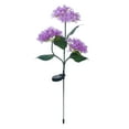 thumbnail image 1 of Solar Outdoor Garden Lighting Solution for Hydrangea-Style Decorative Ground Inserted Light Flower Spotlight for Yard Visualization and Wind-Swayed Swaying Garden, 1 of 4