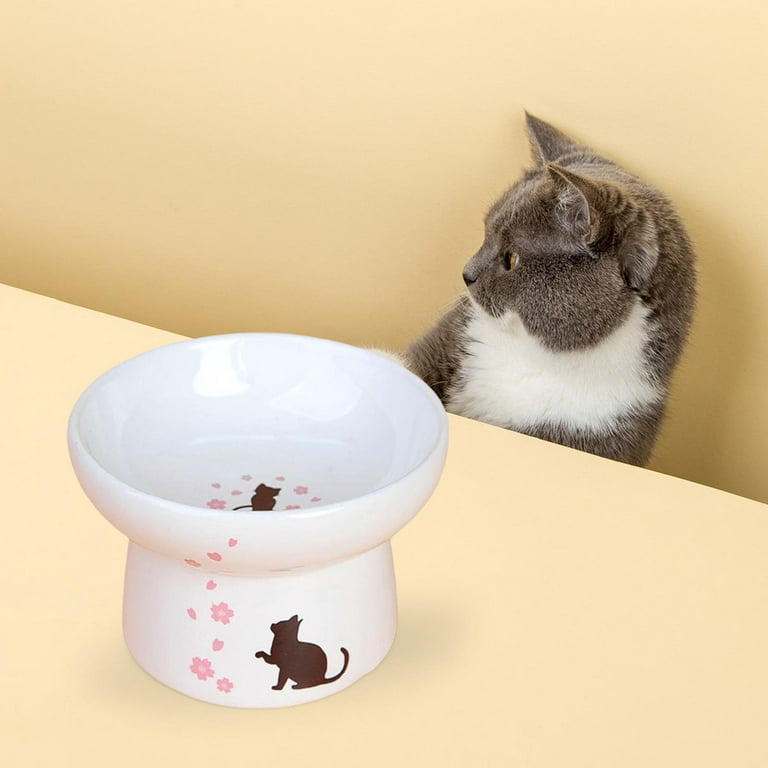 Cat Bowl Anti Vomiting, Raised Cat Food Bowls, Tilted Elevated Cat Bowl,  Ceramic Pet Food  - Pet Bowls & Dishes - Los Angeles, California, Facebook Marketplace