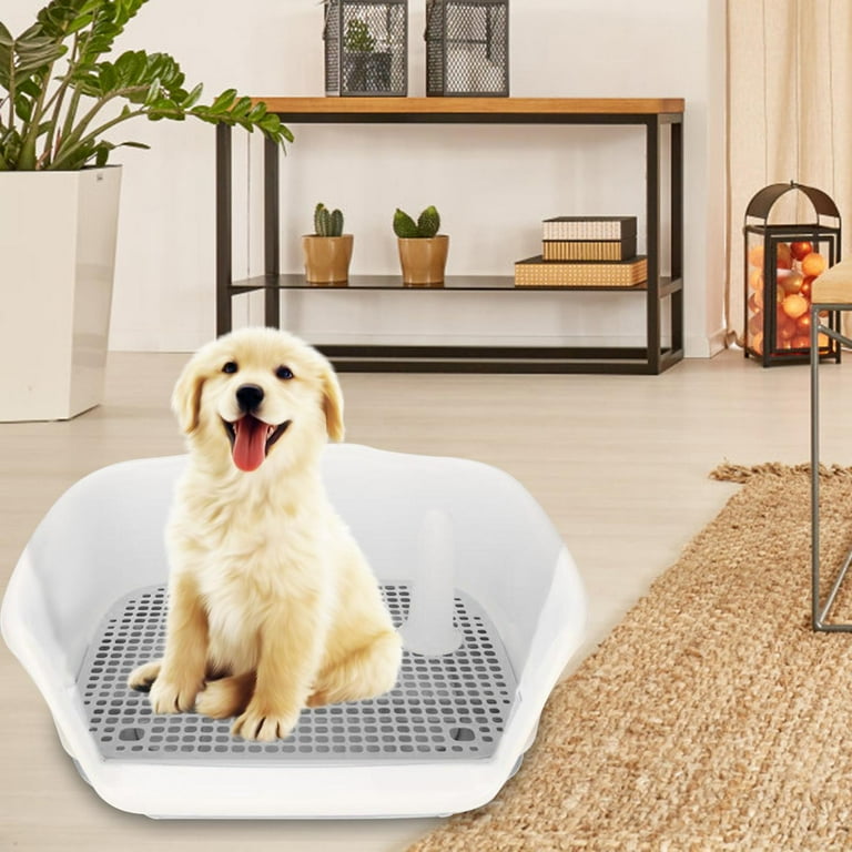 Indoor dog top potty with sides