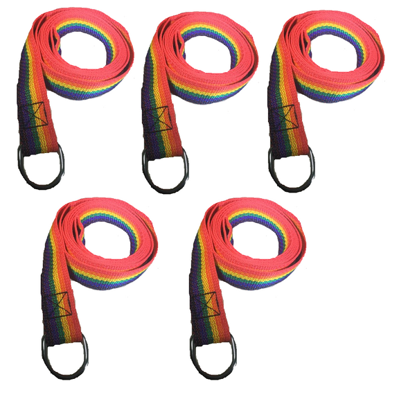Rainbow Slip Style Dog Leash 6 ft Vet Rescue Shelter Training 5 or 10 Lead Packs (5 Leads)