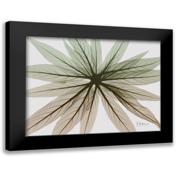 Koetsier, Albert 14x12 Black Modern Framed Museum Art Print Titled - Earthy Echium