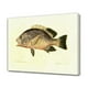 thumbnail image 1 of Póster de pintura de peces, pintura decorativa, lienzo, arte de pared, carteles para sala de estar, pintura para dormitorio, estilo marco, 20 x 30 cm, 1 of 8