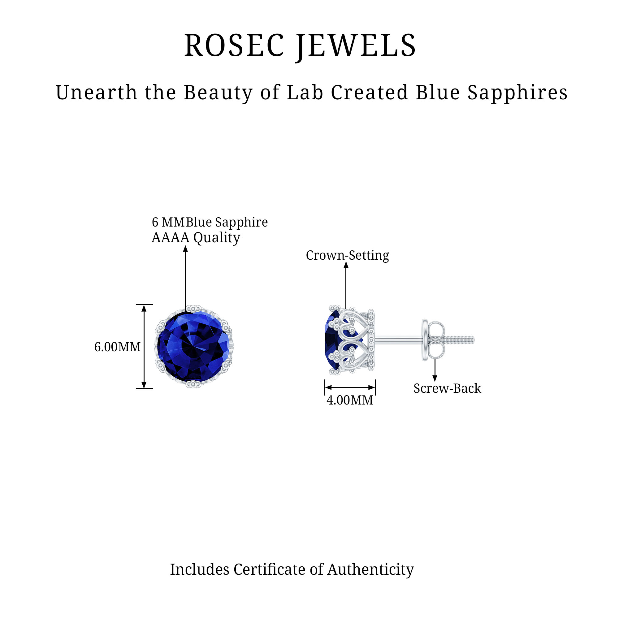 Rosec Jewels Lab Grown Blue Sapphire Studs - Sterling Silver Sapphire Earrings Screw Back - September Birthstone - Ready to Gift