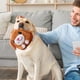 thumbnail image 4 of Clearance!Juguete de peluche para mascotas en movimiento activo,Juguete interactivo para perros,Juguete para perros móvil parlante,Juguete de aburrimiento de rebote para gatos y perros, 4 of 6