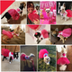 thumbnail image 5 of FloreceBien Primavera Verano Mascota Perro Gato Cachorro Tutu Vestido de Princesa Falda de Encaje Estampada de Corazón Ropa para Mascotas, 5 of 5
