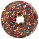 thumbnail image 1 of 71 Realistic Donut Blanket, Thermal Towel Blanket Lightweight and Soft Flannel Novelty Decorative Blanket, Perfectly Round Fuzzy Blanket on Bed Couch, 1 of 5
