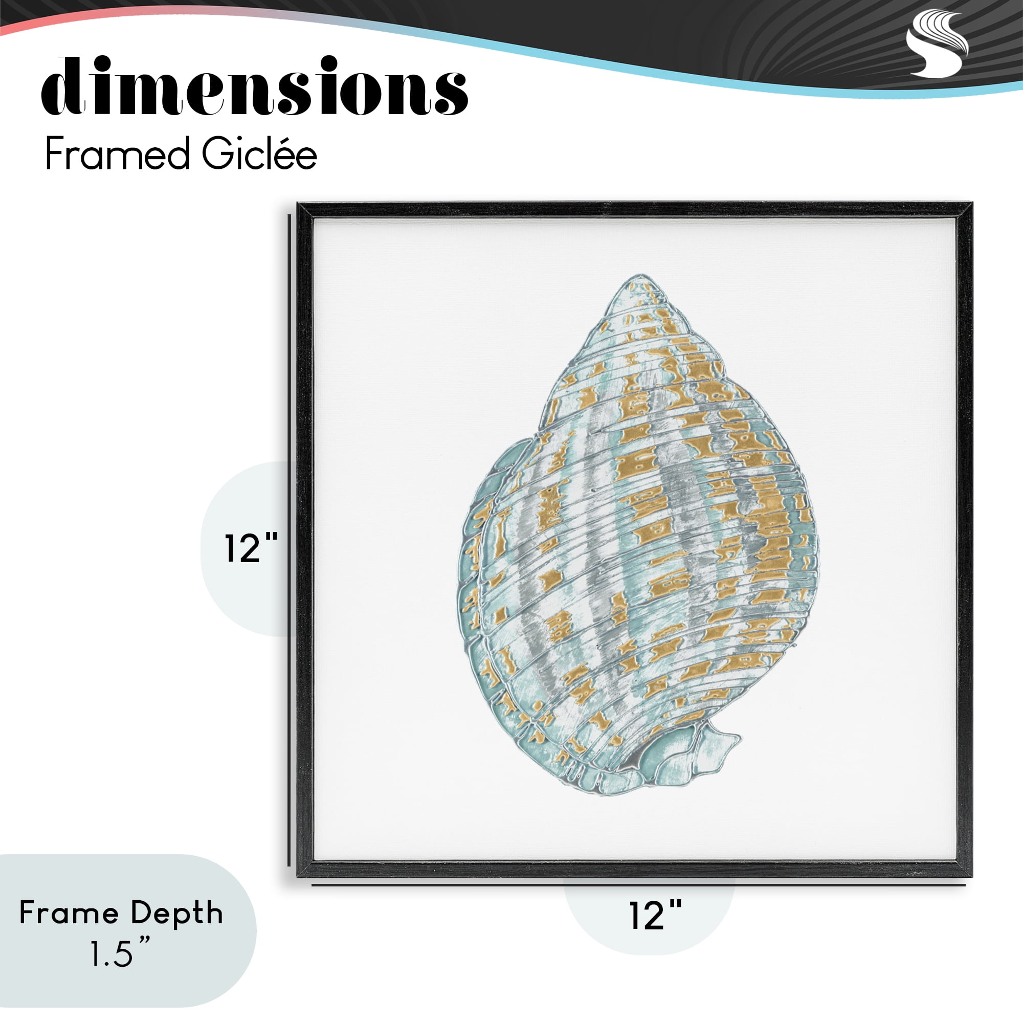 Stupell Industries Regal Shells Spiral Black Framed Giclee Art, design by Lorenzo Collective