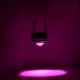 thumbnail image 4 of 120W LED crece la luz de espectro completo de invernadero verduras frutas plantas lámpara (US 110V), 4 of 6