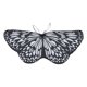 thumbnail image 1 of EeaseMX Capa creativa con alas de mariposa, chal de playa para exteriores, accesorio para fiesta infantil, 1 of 7