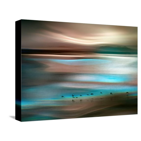 Art.com Migrations Stretched Canvas Print Wall Art by Ursula Abresch, 16" x 12"