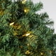 Accueil Patrimoine Couleur LED Lumière Couronne et 6 Pieds Taylor Arbre de Noël avec Lumières – image 5 sur 10