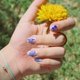 thumbnail image 5 of Juego de 3 placas para estampar uñas con diseño de plantas y flores. Plantillas para estampar uñas con puntas de acero inoxidable., 5 of 9