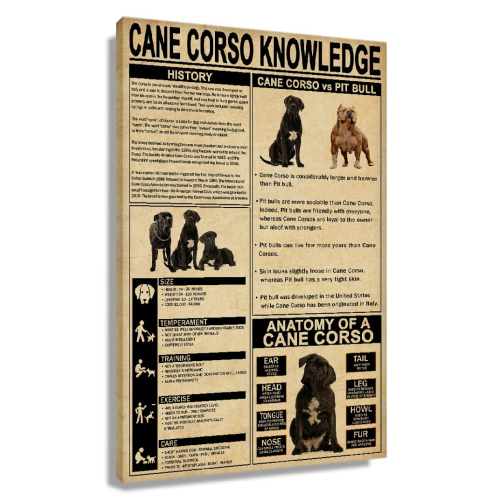 Cane Corso Dog Knowledge Poster Educational Wall Art Infographic Poster ...