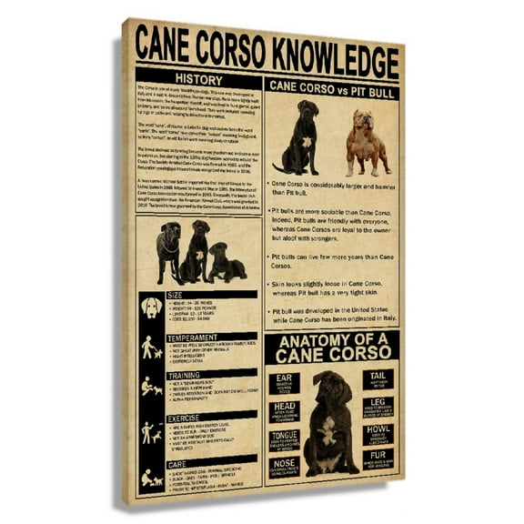Cane Corso Dog Knowledge Poster Educational Wall Art Infographic Poster Decorations for Office Prints on Canvas Artwork for Living Room Paintings for Bathroom Framed 20x30 in