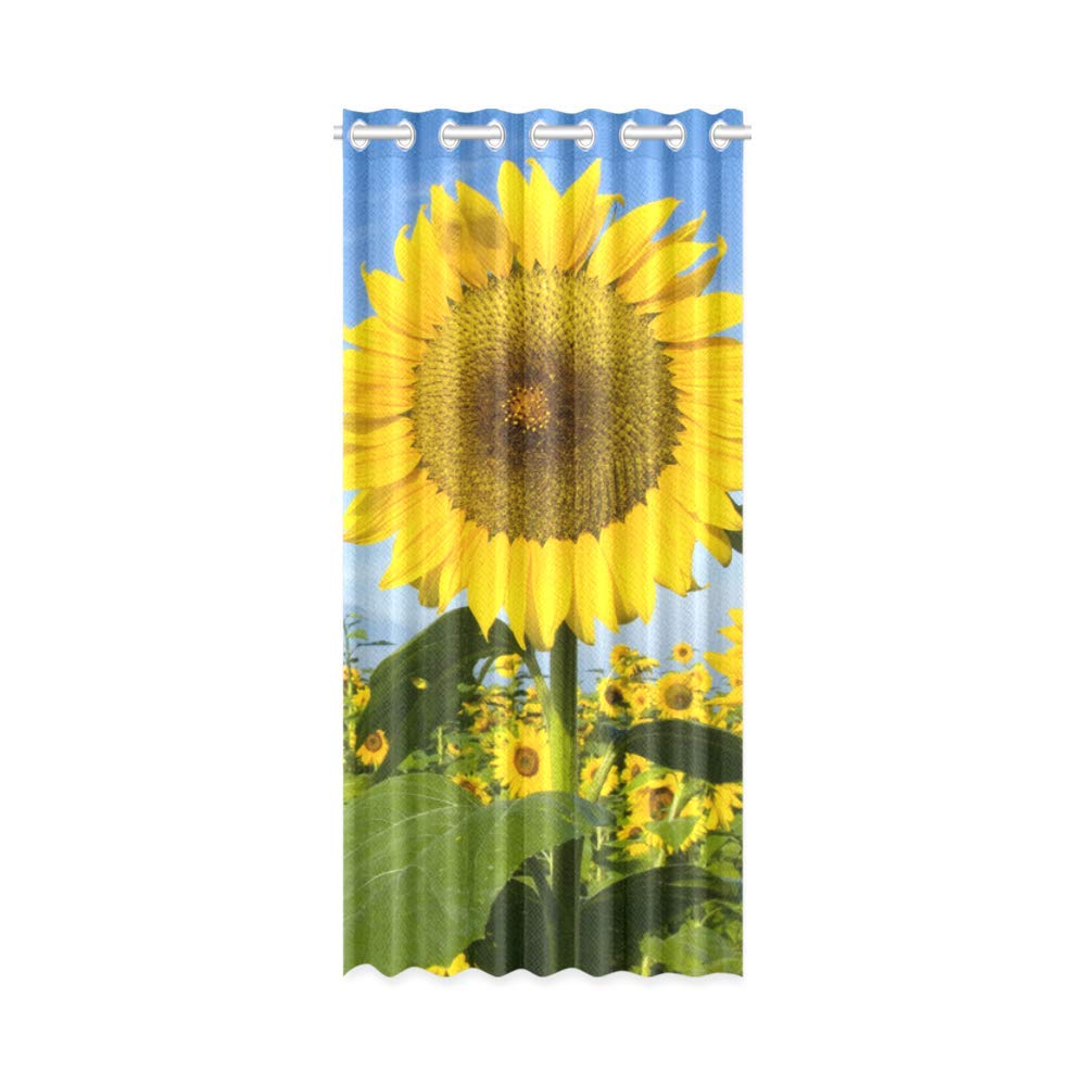 Mkhert Sunflowers Blackout Window Curtain Kitchen Curtain 26X39 Inch 2   12c3cfb7 2ef3 4e57 B516 B542153f95f2 1.bd1fdd75d3867e5f6ffc5a61e64e50d6 