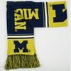 Michigan Wolverines Team Stripe Knit Scarf
