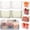 2L-Crystal Clear+ 2L-Green, variant on Crystal Clear Freezer Storage Bins, Clear Plastic Bins for Refrigerator and Pantry with Handles for Frozen Food, Meat & Veggies