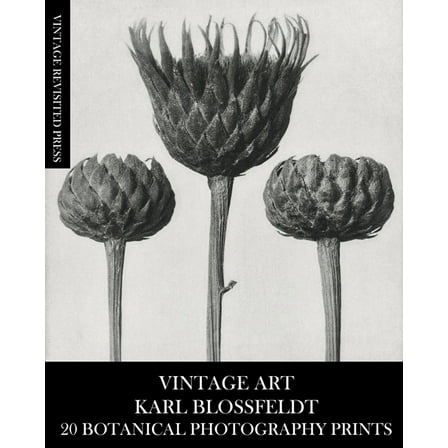 Vintage Art: Karl Blossfeldt 20 Botanical Photography Prints, (Paperback)