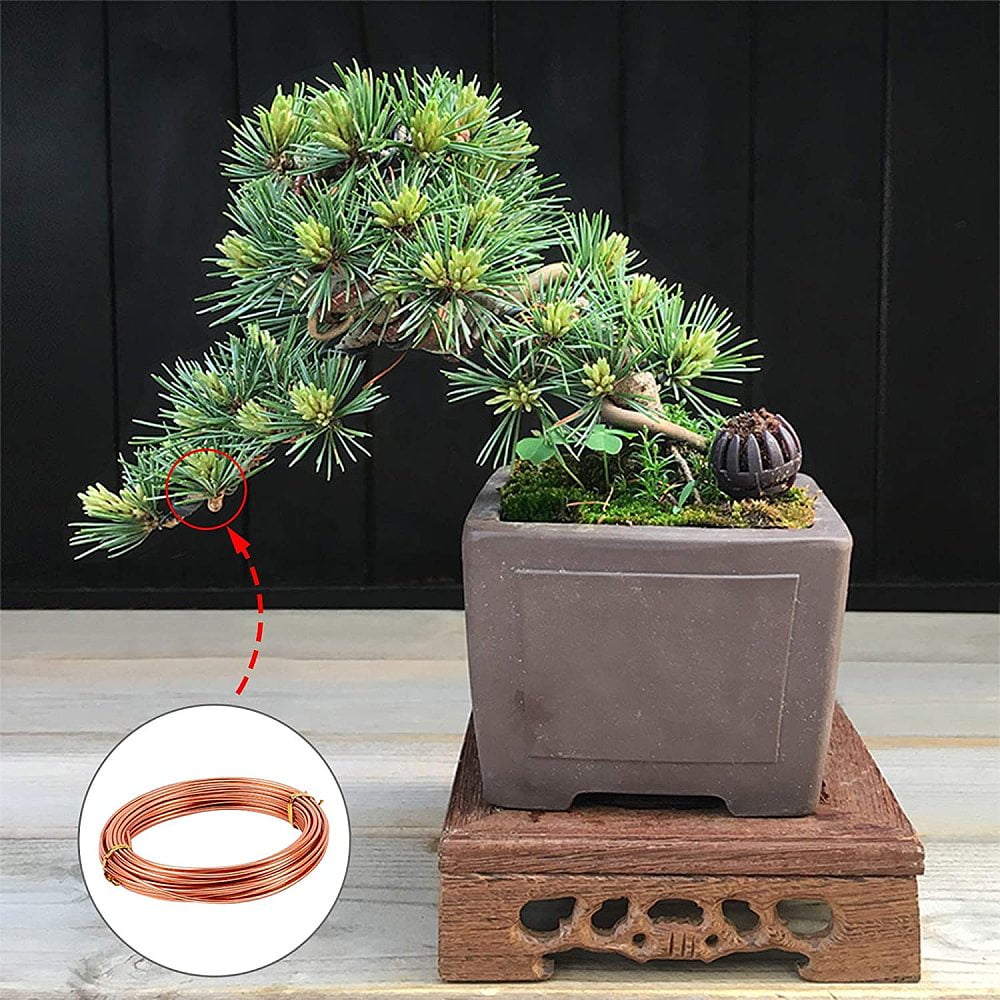 Tree Training Aluminium Wire 9 Rolls (Total 295 Feet) 3 Colors Bonsai Plant Training Wire 1/1.5/2mm Training Wire with Bonsai Wire Cutter for Holding Bonsai Branches DIY Mixed Color