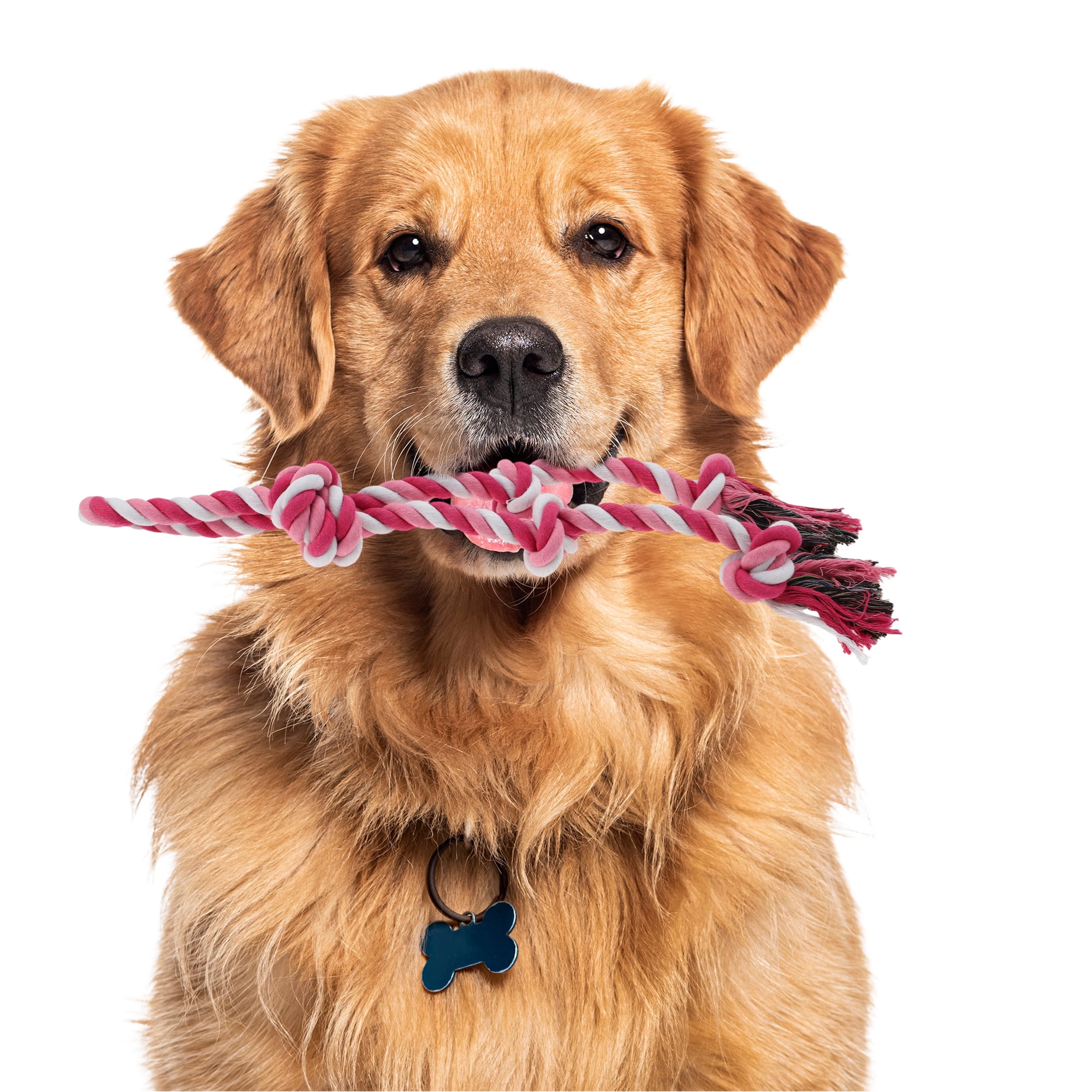 Knots Shape Dog Chew Rope Durable Braided Cotton Teeth Cleaning Rope for Cats Dogs Rose Red White