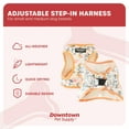 thumbnail image 4 of Downtown Pet Supply Step In Dog Harness For Small Dogs No Pull, Medium, Pineapple, 4 of 8
