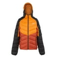 thumbnail image 1 of Regatta Mens Dalent Hooded Insulated Jacket, 1 of 5