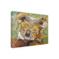 thumbnail image 2 of Trademark Fine Art 'Koala Collage II' Canvas Art by Elizabeth St. Hilaire, 2 of 4