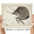 thumbnail image 5 of Antique Zodiac Taurus Constellation Plate - 11x14 Unframed Art Print - Great Home Decor or Gift to Astrology Enthusiasts, 5 of 6