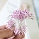 thumbnail image 4 of 1 paquete lotes 1,5 - 2 mm mate doble cabeza mini flor estambre pistilo para boda púrpura rosado Zulema Estambre doble cabeza estambre, 4 of 8