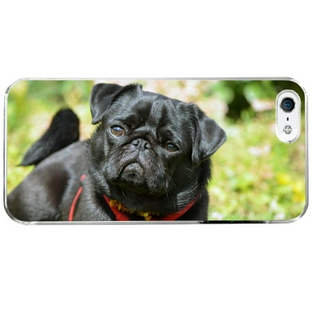 black pug phone black pug puppy lying apple iphone 5 5s phone walmart black pug phone black pug puppy lying apple iphone 5 5s phone walmart