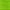Neon Green, variant on West Coast Paracord 550lb Paracord Spools - 7 Strand Type III Tactical Parachute Cord for Hiking, Camping, and Fishing - Black (50 ft)
