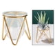 thumbnail image 2 of para Plantas Hidropónicas, para Bonsái, Decoración para hogar perfecl Jarrón floral geométrico, 2 of 7