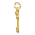 thumbnail image 2 of FJC Finejewelers 14k Yellow Gold Male Karate Charm, 2 of 4
