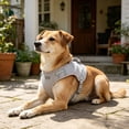 thumbnail image 4 of Reflective Breathable Mesh Dog Cooling Harness Vest, Summer Sun Protection Pet Jacket with Lift Handle & Leash D-Ring,Light Gray,L, 4 of 4