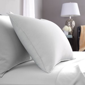 Image of Pacific Coast Feather® Down Around Pillow  100% Cotton Cover  Standard/Queen