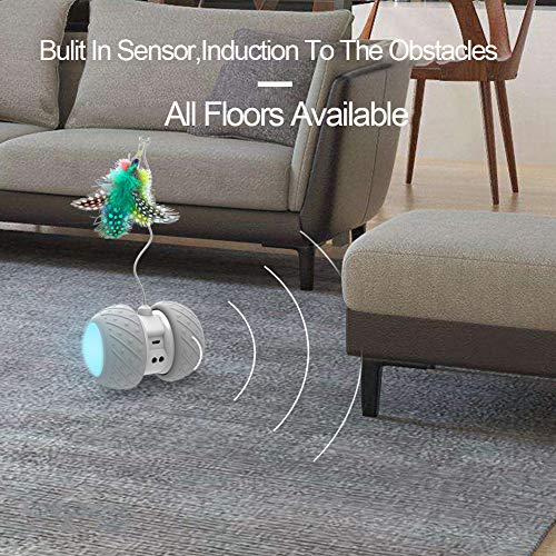 PetDroid Boltz Robotic Cat Toy