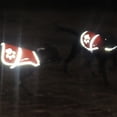 thumbnail image 5 of Chaleco reflectante para perro, chaqueta reflectante, estampado reflectante para exteriores, tela Oxford impermeable, 5 of 5