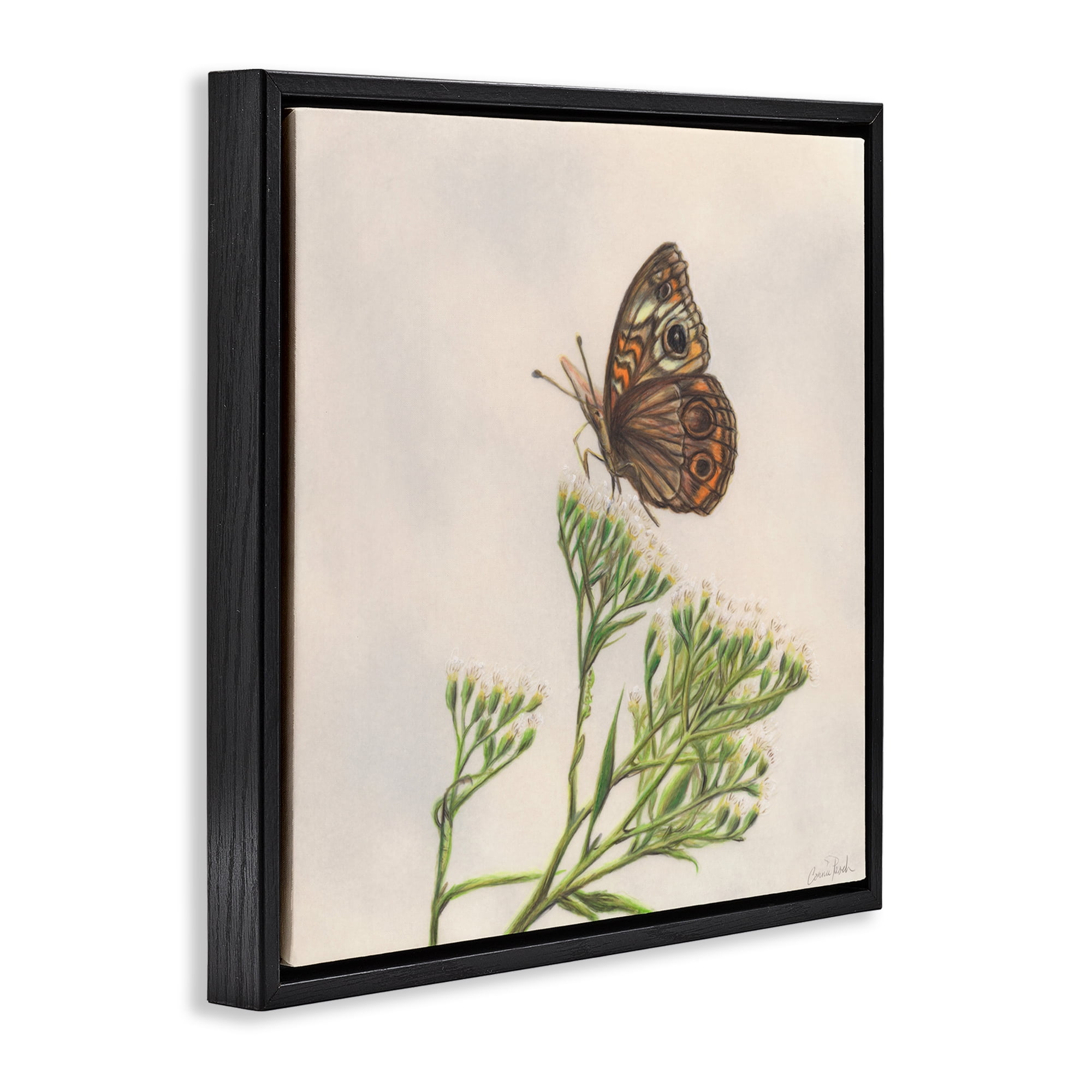 Stupell Industries Spring Offerings Butterfly Animals & Insects Painting Black Floater Framed Canvas Art Print Wall Art, 25 x 25